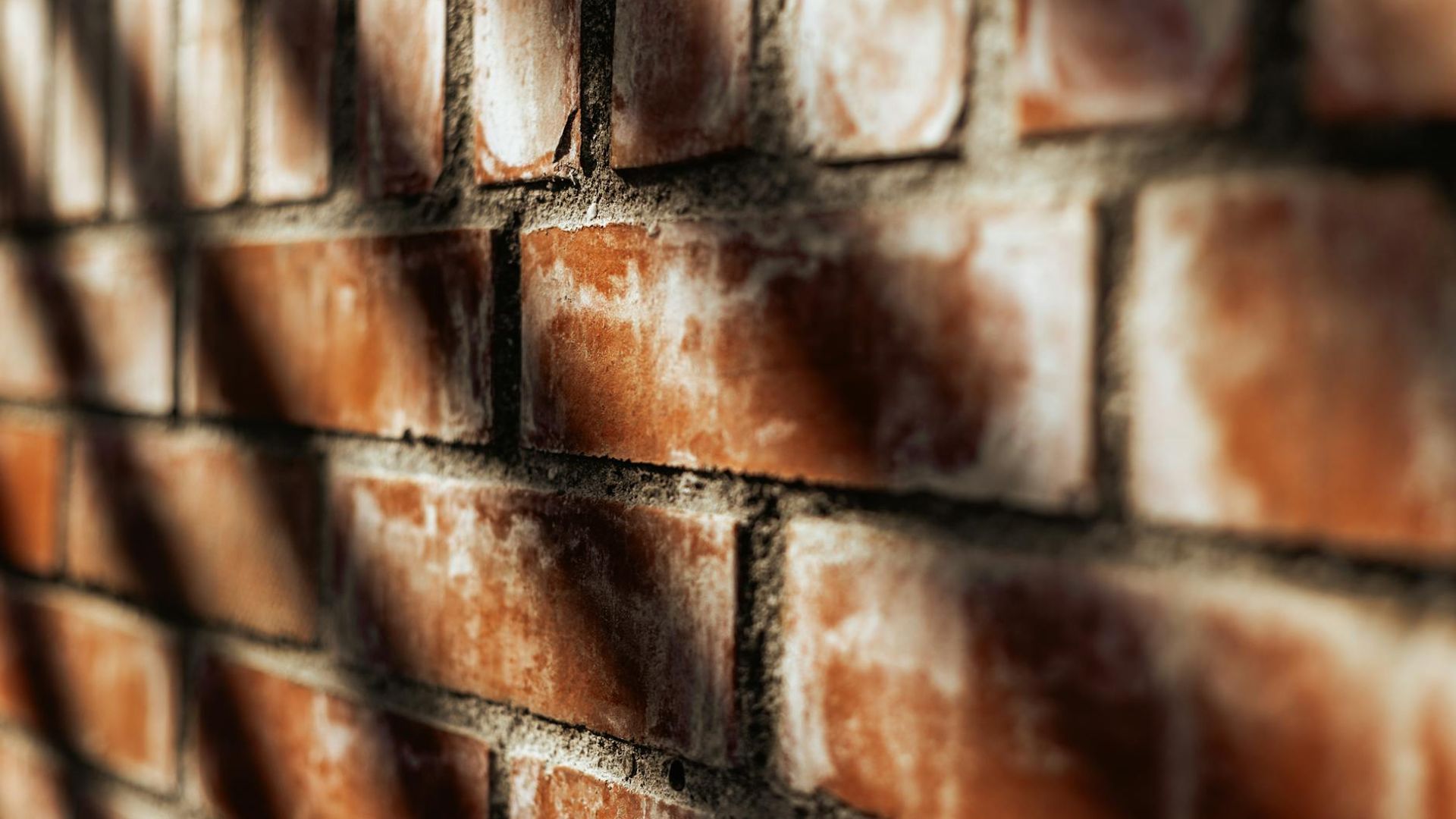 Abstract and atmospheric background with a focus on texture and calm energy.